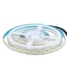240 LED Strip Lys 20W/m - 6500K, Høy Lumen, IP20, 5m/rull
