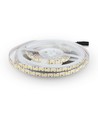 204 LED Stripelys 17W/m - 3000K, IP20, 5m/rull