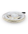 5m 17W/m LED-strip - 12V DC, IP20, 204 LED per meter