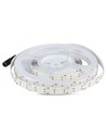 360LED 30W LED Stripelys - 4000K, IP20, 5m/rull