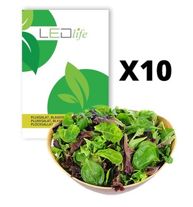 10 ps. Plukksalat frø - Baby Leaf blanding