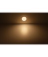 Outlet: Marcasite Rundt LED Innfelt Panel 14W Ø16 3000K - Philips