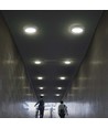 12W LED taklampe - Ø16,7cm, 6500K - kaldhvit, IP20, hvit kant, rund, 5 års garanti
