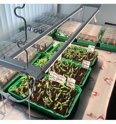 LEDlife Pro-Grow 2.0 Vekst sett - 2 x 120cm, 36W LED, fullt lysspektrum, IP65