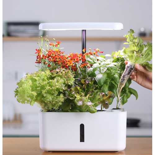 LEDlife hydroponisk kjøkkenhage - Hvit, inkl. vekstlys, 10 plasser, timer, 2,8L vanntank