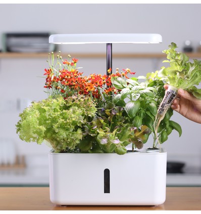 LEDlife hydroponisk kjøkkenhage - Hvit, inkl. vekstlys, 10 plasser, timer, 2,8L vanntank