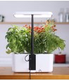 LEDlife hydroponisk kjøkkenhage - Hvit, inkl. vekstlys, 10 plasser, timer, 2,8L vanntank