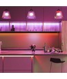 5m 11W/m rød/grønn/blå/gul LED-strip - 60 LED pr. meter, velg farge