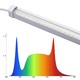 LEDlife Max-Grow 2.0 30W vekstarmatur - 120cm, 30W LED, fullt lysspektrum, IP65