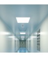 60x60 LED-panel, 40W - Høyde: 12,5mm, 124lm/W, hvit kant