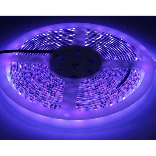 5m 10W/m UV 400 nm LED-strip - 24V DC, IP20, 120 LED pr. meter