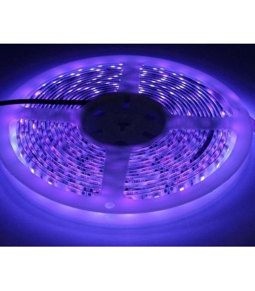 UV 400 nm 14,4W/m 24V LED stripe - 5m, IP20, 60 LED per meter