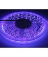 5m 10W/m UV 400 nm LED-strip - 24V DC, IP20, 120 LED pr. meter