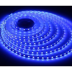 Enkeltfarget LED strip Blå 450 nm 14,4W/m 24V LED stripe - 5m, IP20, 60 LED per meter