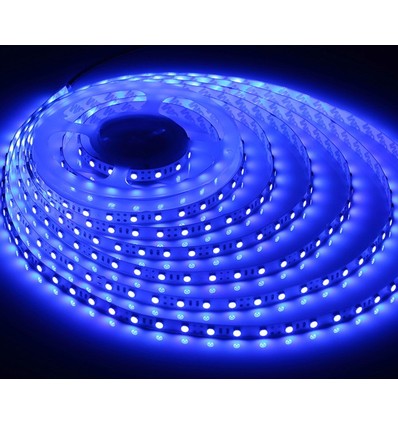 Blå 450 nm 10W/m 24V LED stripe - 5m, IP20, 120 LED per meter