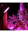 A60 LED plantevekstpære 8W E27 - Fito, 230V