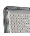 100W NOCTIS MAX 2 LED lyskaster - 100lm/W, IP65, CW, 5 års garanti