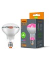 E27 9W LED vekstpære til planter - R80, 120°, 14 µmol/s, stimulerer vekst