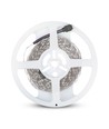 5m 7W/m RGB LED-strip sett - 12V DC, IP20, 60 LED pr. meter
