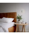 Veggfeste spotlampe - spenning: 230V, lysstyrke: 380, forbruk: 5W (Baklys) + maks 30