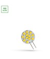 Spectrum LED 1,2W G4 - 12V, varm hvit