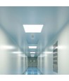 LEDlife 60x60 dagslysstyring panel - 36W, UGR19, flimmerfri, hvit kant