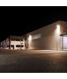 30W LED projektør CCT - 3000lm, IP65, sort, matt glass, 3-i-1 fargeskift, utendørs