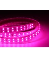 5 m. vanntett vekst LED-strip - Komplett med støpsel, 230V, IP67, 180 LED, 10W per meter