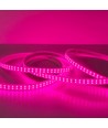 5 m. vanntett vekst LED-strip - Komplett med støpsel, 230V, IP67, 180 LED, 10W per meter