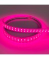 5 m. vanntett vekst LED-strip - Komplett med støpsel, 230V, IP67, 180 LED, 10W per meter