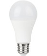 E27 10W LED-pære, 12-60V - A60, 810lm, opalt glass, AC/DC