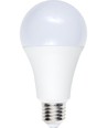 E27 12W LED-pære, 12-60V - A70, 1100lm, opalt glass, 3000K, AC/DC