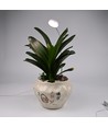 LEDlife vekstlys med spyd - 12W, timer, justerbar høyde, dimbar