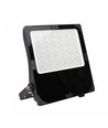 300W LED-lyskaster med justerbar watt - Asymmetrisk lys, IP66 utendørs, IK08, sort