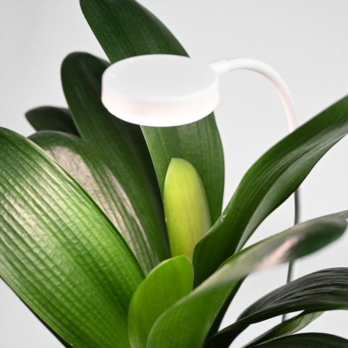 Fleksibelt plantelys med spyd - 12W, timer