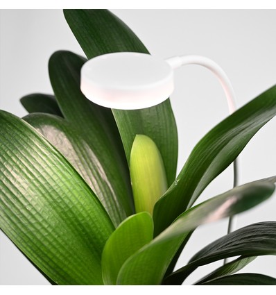 Fleksibelt plantelys med spyd - 12W, timer