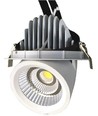 30W Ø16,5cm Downlight - Hull: Ø15 cm, Mål: Ø16,5 cm, 4100lm, Justerbar vinkel