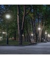 LED PARISIENNE PREMIUM COG 30W E-27 NW MATT SPECTRUM