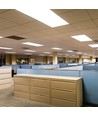 120x30 bakbelyst LED-panel, 40W - 120lm/W, CREE-chip, 6 års garanti, hvit kant