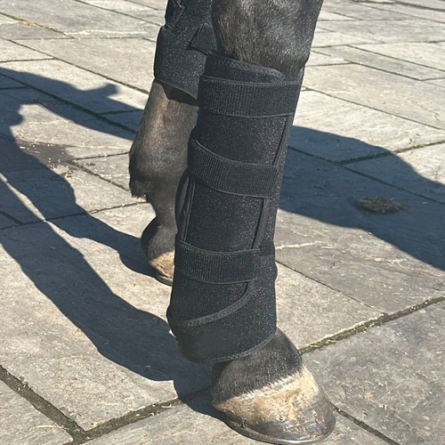 Rødlysterapi-bånd til hest - Infrarødt og rødt lys, batteri, powerbank inkludert