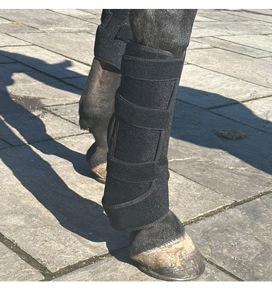 Rødlysterapi-bånd til hest - Infrarødt og rødt lys, batteri, powerbank inkludert