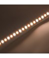 10m 8,5W/m CCT LED-strip RA93 - 24V DC, IP20, 192 LED pr. meter