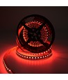 5m 19W/m RGB+CCT LED-strip RA93 - 24V DC, 270 LED pr. meter, IP20
