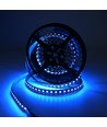 10m 19W/m RGB+CCT LED-strip RA93 - 24V DC, 270 LED pr. meter, IP20