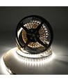 10m 19W/m RGB+CCT LED-strip RA93 - 24V DC, 270 LED pr. meter, IP20