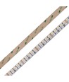 10m 19W/m RGB+CCT LED-strip RA93 - 24V DC, 270 LED pr. meter, IP20