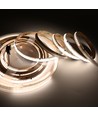5m RGBWIC COB LED-strip - 24V DC, 784 LED 20W/m, IP20