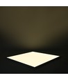 60x60 LED-panel 36W 1-10V dimbar - 116lm/w, UGR19, RA92, hvit kant