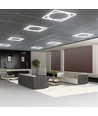 60x60 LED Octagon Borderline panel, 72W - 6500K, Dual Lifud driver, flimmerfri