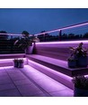 5m 9W/m Lilla/rosa Slim COB strip - 230V, IP67 vanntett, 296 LED, kan klippes hver 10cm